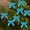 Blue, variant on 24pcs Mini Velvet Christmas Bows, 3.5x3.5 Inch Soft Festive Bows with Metal Backing, for Christmas Tree Wreath Gift Wrap, Wedding Party Decor, Snack Baking Candy Bags & Home Holiday Decoration