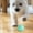 Mint Green, variant on SIfdSeng Pet Smart Rolling Cat Toy Teaser Cat Pet Toy Star Planet Chew Toys for Small Dogs Puppy Teething Toys Bulk Funny Dog Toys