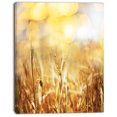 thumbnail image 2 of Plantes de Blé Brun dans les Champs - Impression sur Toile Florale, 2 of 3