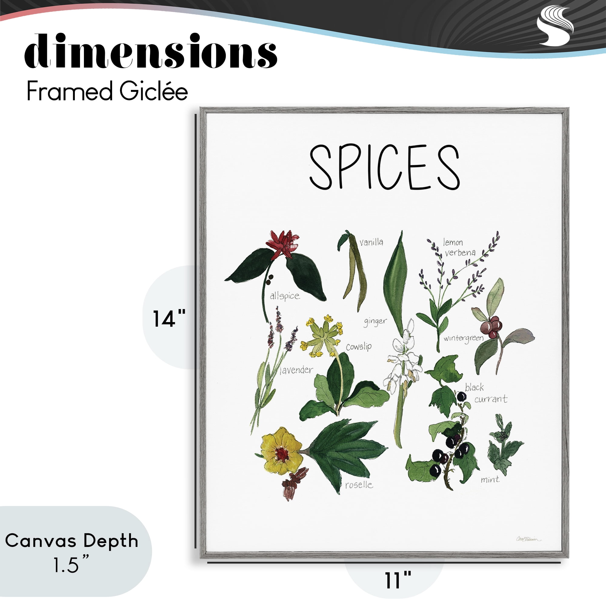 Stupell Industries Spices Identification Chart Gray Framed Giclee Art, design by Carol Robinson