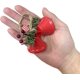 thumbnail image 4 of 6 campanas de Navidad rojas, adorno colgante para árbol, cascabeles de metal para decoración navideña (6, blanco), 4 of 4