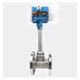 thumbnail image 2 of Compact Dn25 DN50 Liquid Flowmeter, Factory Gas Application Steam, Air Liquid Measure Flow Meter ,Simple To Operate, 2 of 6