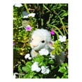 thumbnail image 2 of Peluche de Borrego Aurora, 2 of 3