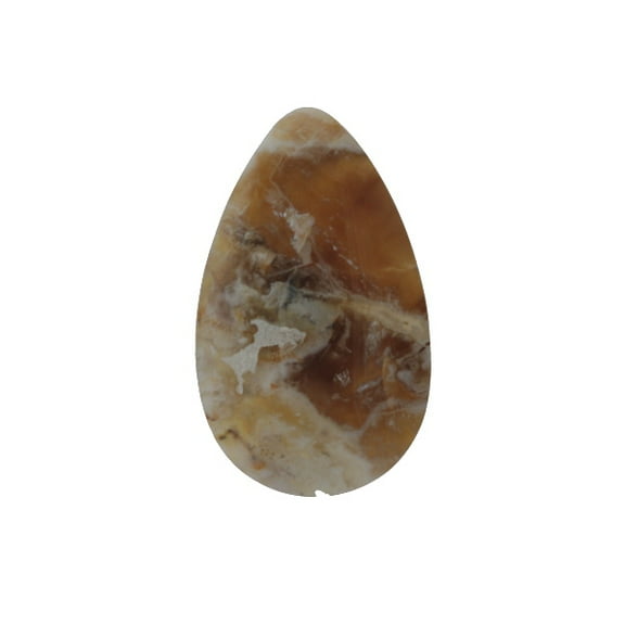 32x19mm Petrified Wood