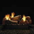 thumbnail image 3 of 18" Stone River Logset with IP VF/V Slope Glaze Vista Burner, NG, 3 of 3