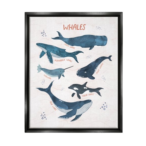 Stupell Industries Nautical Diagram Whale Narwhal Types Bubbles Illustration Jet Black Framed Floating Canvas Wall Art, 24x30, by Nina Blue