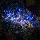 thumbnail image 5 of Paquete de 2 luces solares para exteriores, impermeables, IP65, fuegos artificiales, 120 luces LED de cobre para jardín, césped y patio, 5 of 5