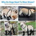 thumbnail image 7 of Waterproof Dog Boots for Small/Medium Dogs, TSV Dog Paw Protectors Anti-Slip Dog Suspender Boots for Outdoor Walking, 7 of 7