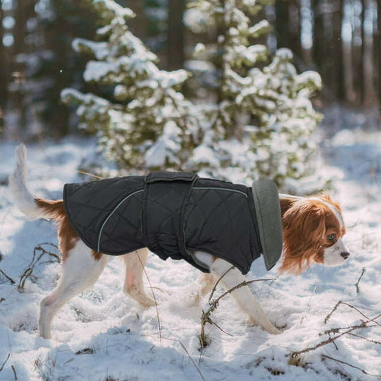 Kuoser Dog Coat Warm Reflective Winter Jacket for Small Medium