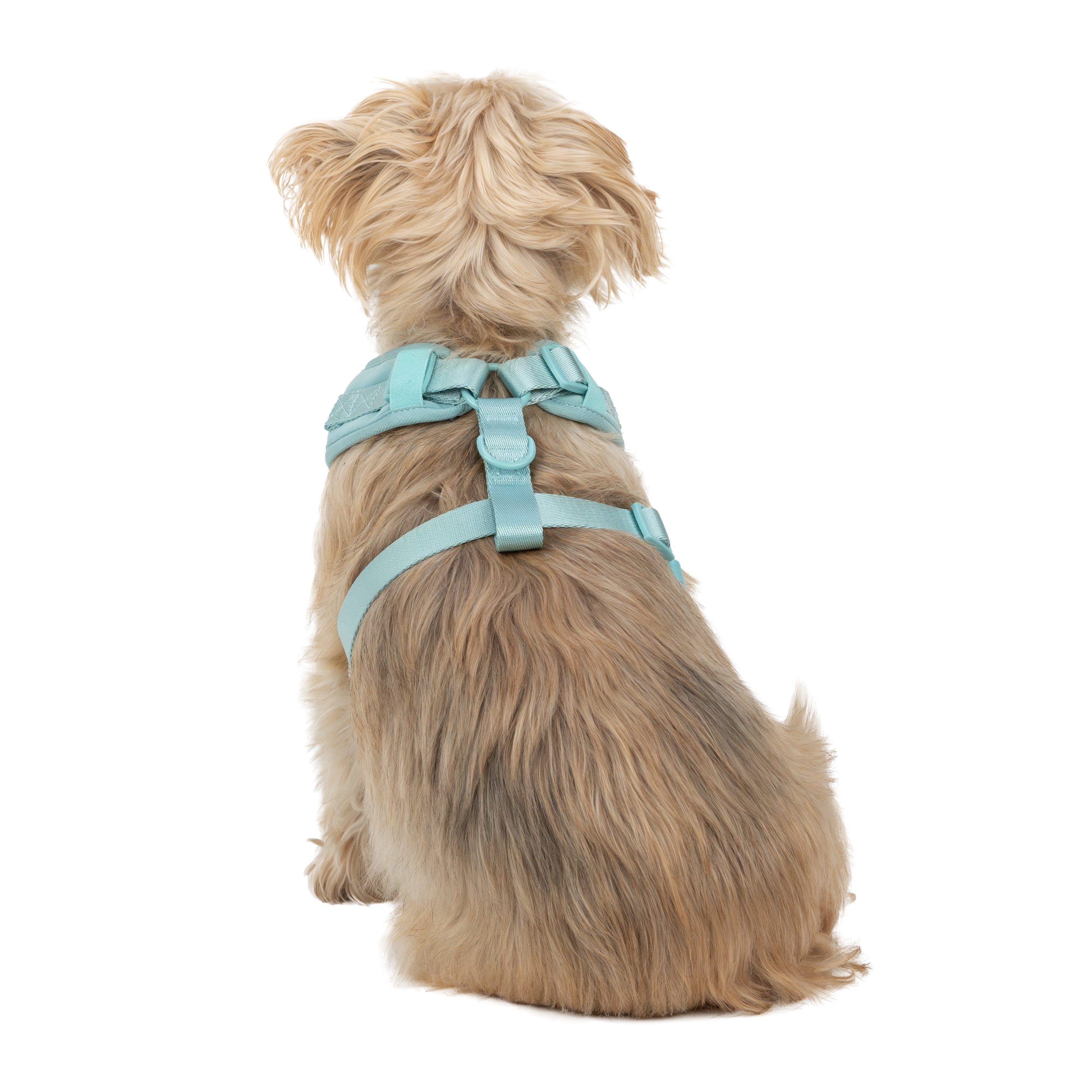 Vibrant Life Polyester & Spandex Adjustable Dog Harness, Blue, Small