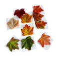 thumbnail image 2 of Fall Decorations, Loose Maple Leaves for Autumn Harvest Table Mantel and Party Decor, 50 Pcs, 2 of 5