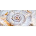 thumbnail image 2 of Great Skeleton of Sea Shell - Oversized Animal Wall Art, 2 of 3