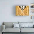 thumbnail image 2 of Canvas Wall Art - Mark A Paulda 'Tunnel Patterns' Wall Art for Living Room, Bedroom, or Office Décor by Trademark Fine Art - 24 x 18 Inches, 2 of 4