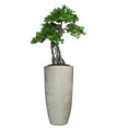 thumbnail image 1 of Artificial Faux Real Touch 4.17 Feet Pine Tree With Planter, 1 of 3