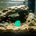 thumbnail image 4 of Tuvgenk Glow in Dark Mini Seal Aquarium Decor, Luminous Fish Tank Ornament Night Light, Cute Floating Seal Statue for Bettas Shrimp Tank, 0.7 Inch, 4 of 6