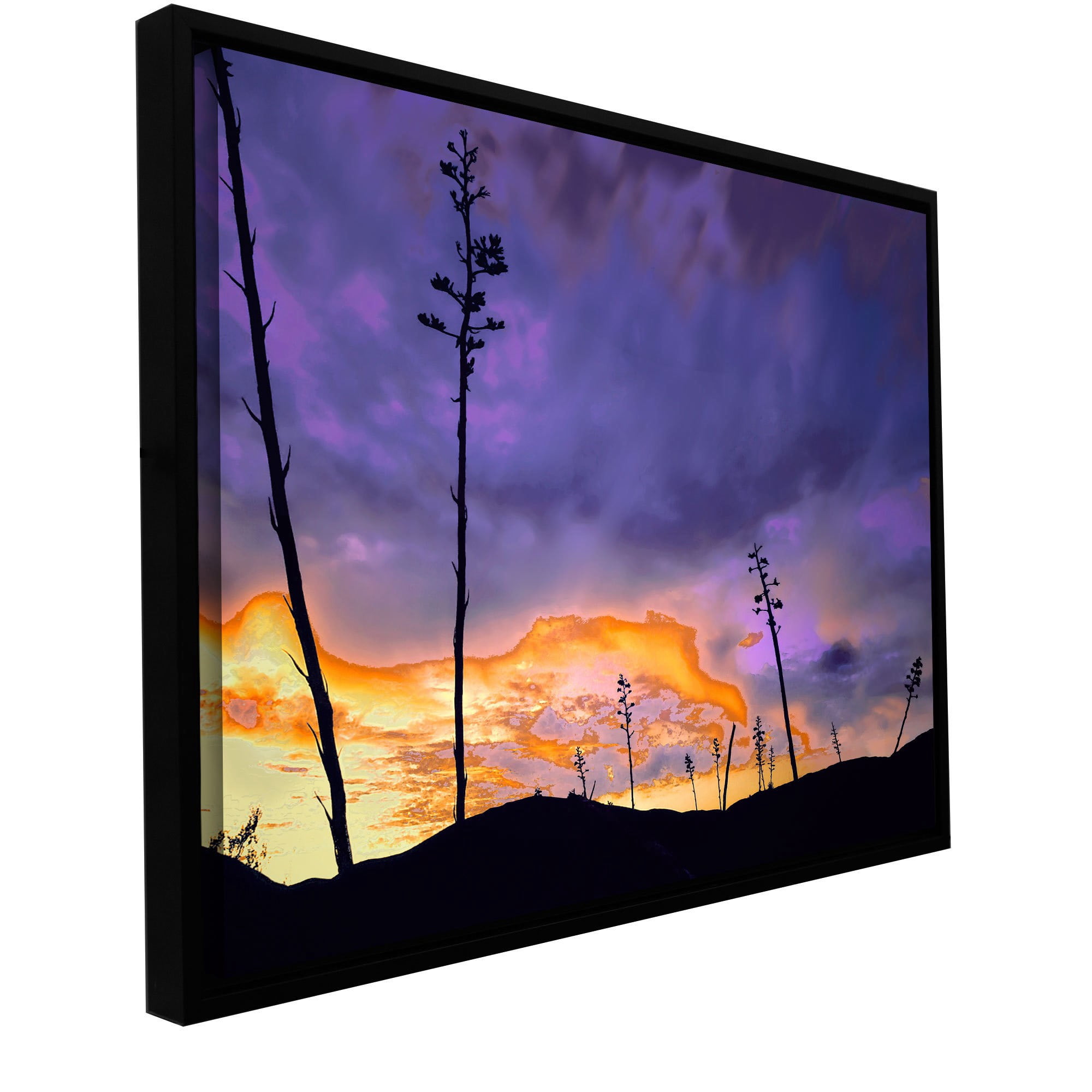 ArtWall Dean Uhlinger "Borrego Desert Dawn" Floater Framed Gallery-Wrapped Canvas