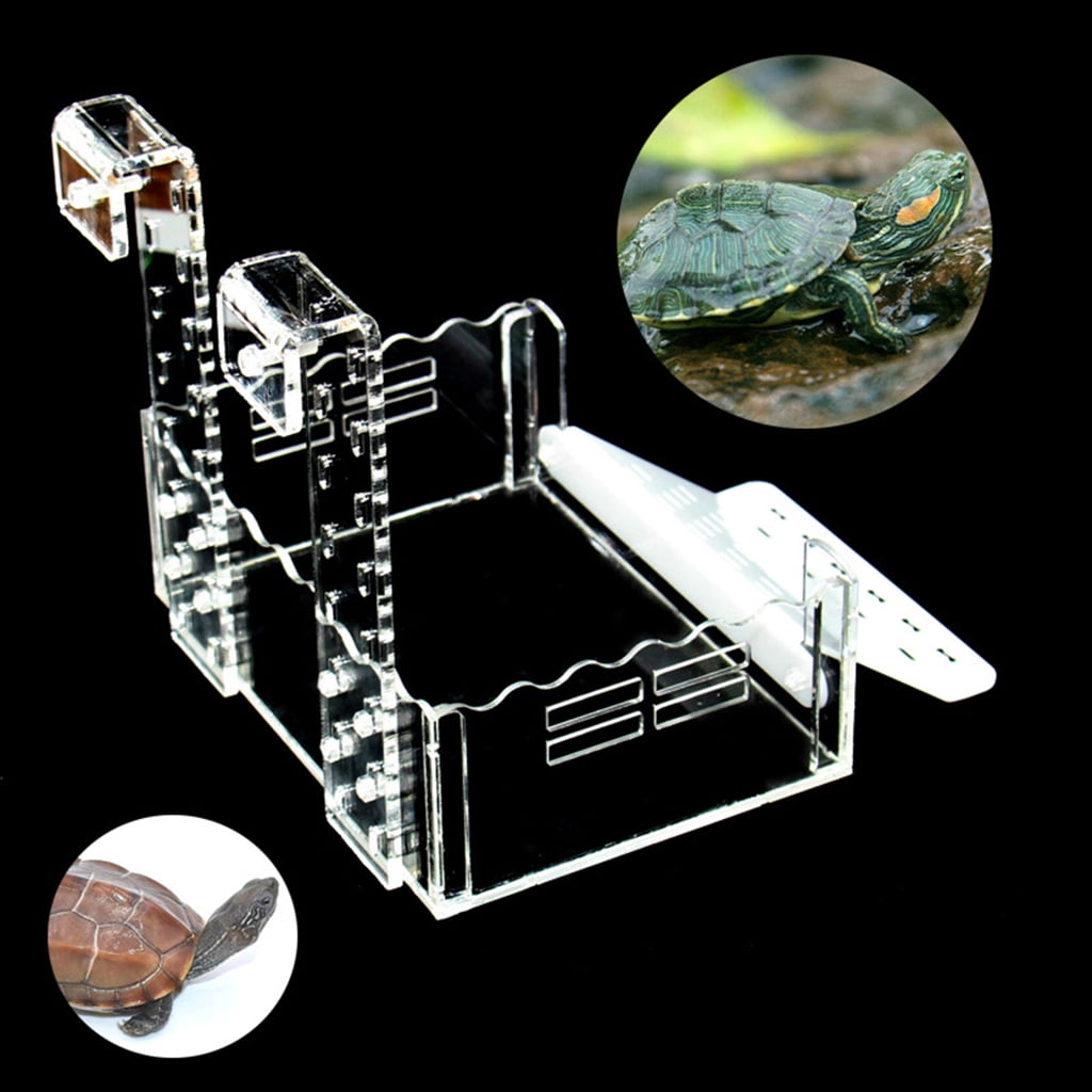 Aquarium Reptile Turtle Terrace Hideout Eggs