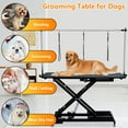 thumbnail image 5 of AOILE 48" Electric Dog Grooming Table, Heavy Duty X-Lift Hydraulic, Max Load 350 Lbs, Professional Grooming Table for Dogs & Cats with Adjustable Overhead Arm & Noose, Height Range 9.4" to 39.4", 5 of 6