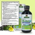 thumbnail image 3 of Nature's Answer Mullein-X Multi-System Natural Cough Syrup 4 fl oz, 3 of 7