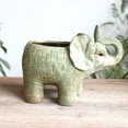 thumbnail image 3 of Coofit Succulent Pot Ceramic Elephant Flower Pot Succulent Planter Plant Pot for Home, 3 of 7