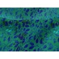 thumbnail image 4 of oneOone Viscose Jersey Green Fabric Batik Craft Projects Decor Fabric Printed By The Yard 60 Inch Wide - DC, 4 of 5