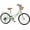 Green, variant on ACEGER 26 inch woman bike, single speed bicycle with rattan basket and rear rack, purple