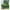 Verdi Green, variant on International Caravan Mandalay Iron Arbor Bench