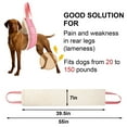 thumbnail image 5 of Numjaw Large Dog Sling, Dog Harness with Handle, 55" x 7" Dog Lift Harness for Rear Legs, Helps Dogs with Reduced Mobility, Paralysis Dogs Walk, 20-150 lbs, Pink, 5 of 7