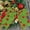 Army Green, variant on Military Green Polka Dots Xmas Ribbon - For Christmas Decorations, Gift Wrapping, Party Supplies, Diy Crafts, Tree Ornaments, Wreath Making With Polka Dot Pattern - Home Office