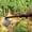 Black, variant on Cadancy 2 In 1 Garden Hoe and Cultivator Hand Tiller Tool Stainless Steel Dual Head Weeding Hoe with 3 Tine Rake for Digging Soil Loosening Plantsing Vegetable