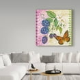 thumbnail image 3 of Trademark Fine Art 'Vintage Fruit Blackberries' Canvas Art by Jean Plout, 3 of 3