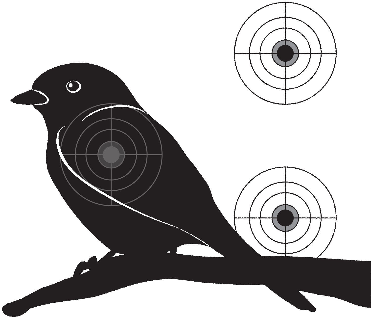 bird target paper practice shooting targets walmartcom walmartcom