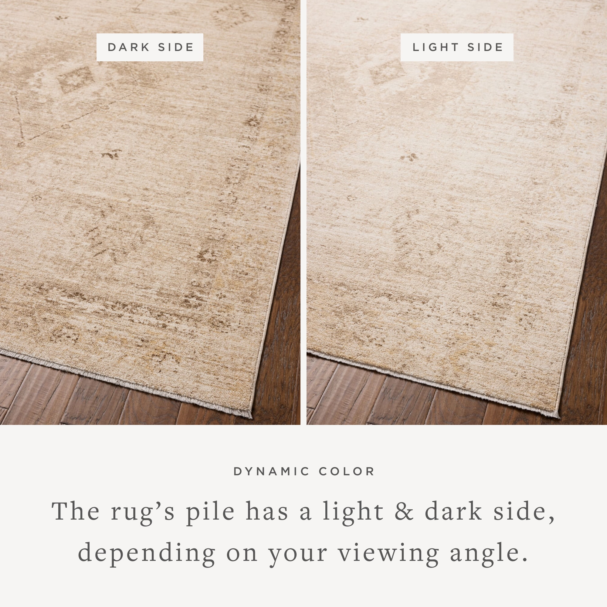 Chris Loves Julia x Loloi Palma Natural / Smoke 7'-10" x 10' Area Rug