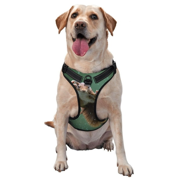 Fotbe Squirrel Arnés para Perro con Estampado –Chaleco Ajustable Acolchado con Asa de Control para Perros Grandes-X-Large