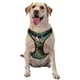 thumbnail image 1 of Fotbe Squirrel Arnés para Perro con Estampado –Chaleco Ajustable Acolchado con Asa de Control para Perros Grandes-X-Large, 1 of 6