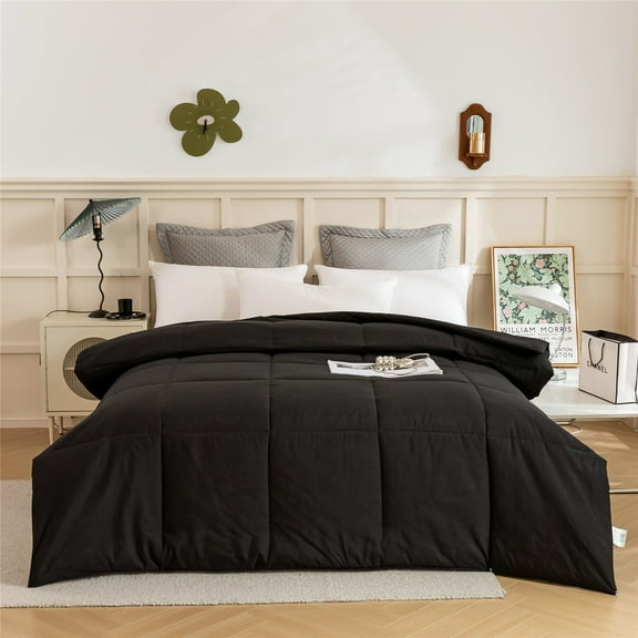 Cotton Blend, Box Stitched Style, Down Alternative Comforter, 250 GSM Fill, Black/Black, Oversized Queen