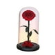 thumbnail image 5 of Rosa en cúpula de cristal, decoración para San Valentín, regalos para San Valentín Estilo B, 5 of 9