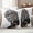 Black White, variant on Africans Outdoor Waterproof Pillow Covers, Modern Abstract Ethnic Women Decorative Square Throw Pillowcase Sofa Cushion Sham for Patio/Couch/Chair, 18"x18" 2 Pack