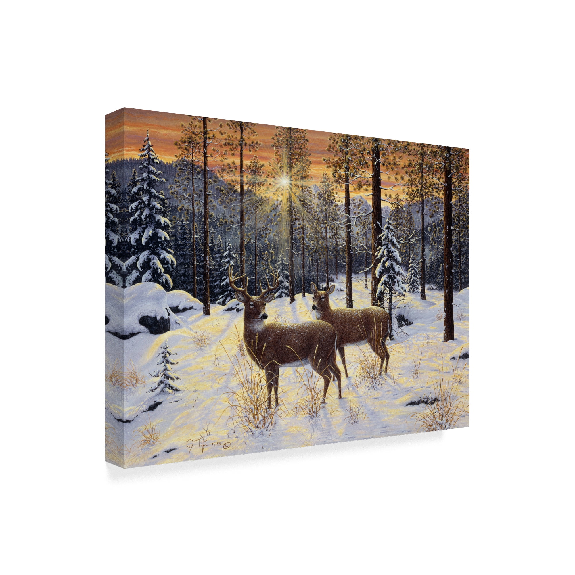 Trademark Fine Art 'Evening Silence' Canvas Art by Jeff Tift