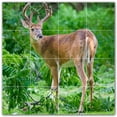 thumbnail image 1 of Picture-Tiles.com: Deer Ceramic Tile Wall Mural WAL500439-44XL. 48"W x 48"H using (16) 12" x 12" Ceramic Tiles-Satin Finish, 1 of 3