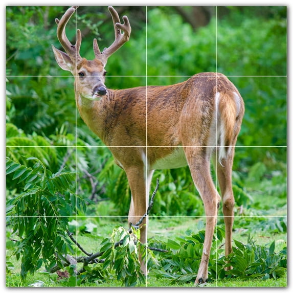 Picture-Tiles.com: Deer Ceramic Tile Wall Mural WAL500439-44XL. 48"W x 48"H using (16) 12" x 12" Ceramic Tiles-Satin Finish
