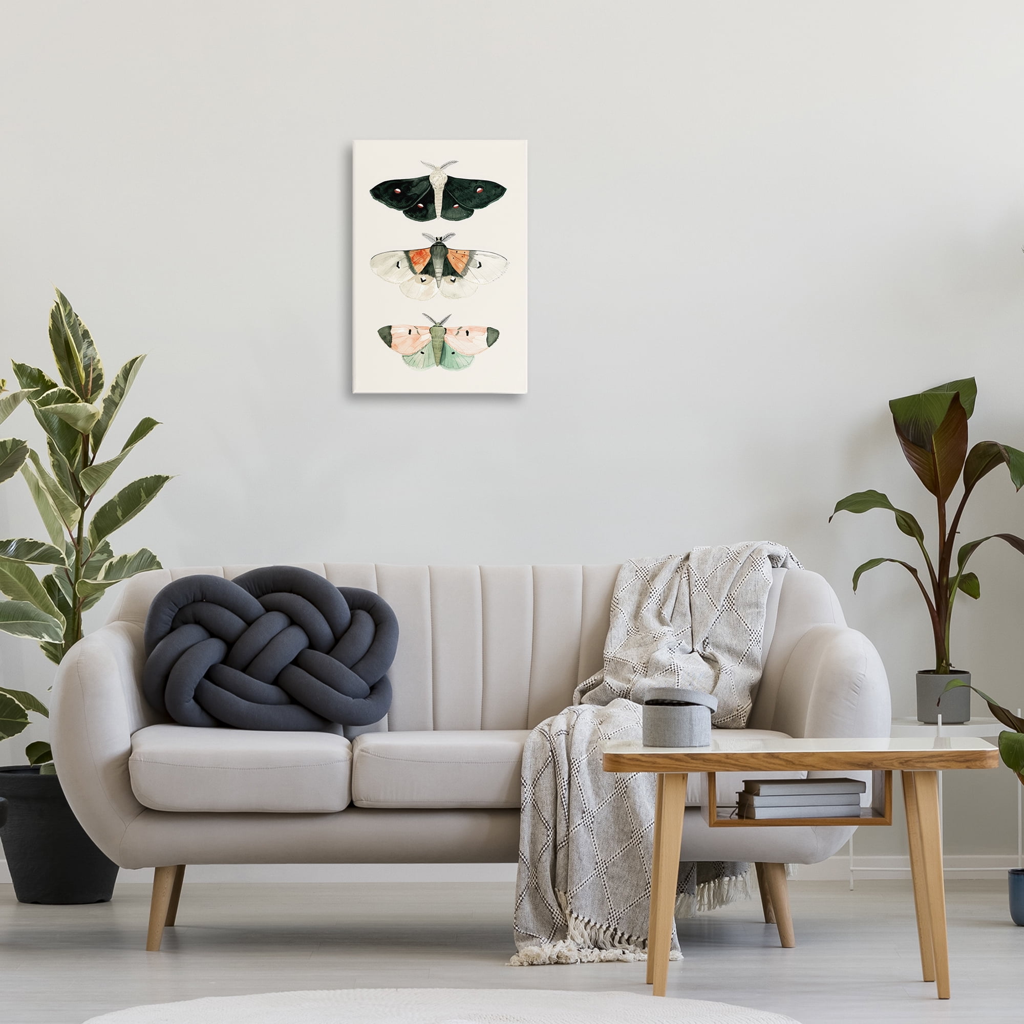 Stupell Industries Assorted Moth Trio Animals Painting Wrapped Canvas Art Print Wall Art, 16 x 24