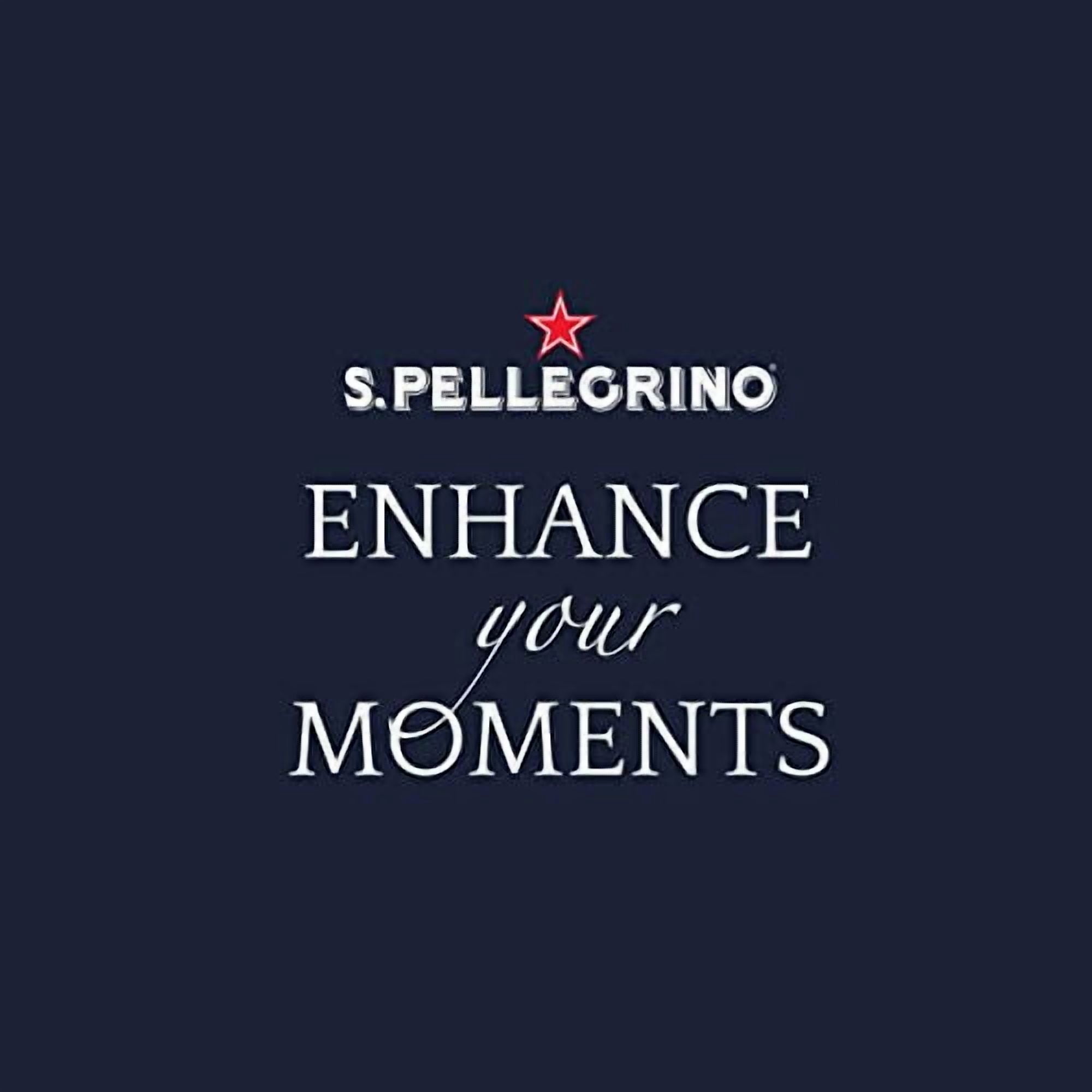 S.Pellegrino Sparkling Natural Mineral Water, 16.9 fl oz. (24 Pack)