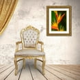 thumbnail image 3 of Merrill Images 19x24 Gold Ornate Wood Framed with Double Matting Museum Art Print Titled - Fiji-Vanua Levu Close-up of Bird Of Paradise plant, 3 of 4