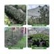 thumbnail image 4 of Red para pájaros para protección de jardín, 4x10 m Red de jardín, Red para aves de corral para gallinero, Deer Fe, 4 of 5