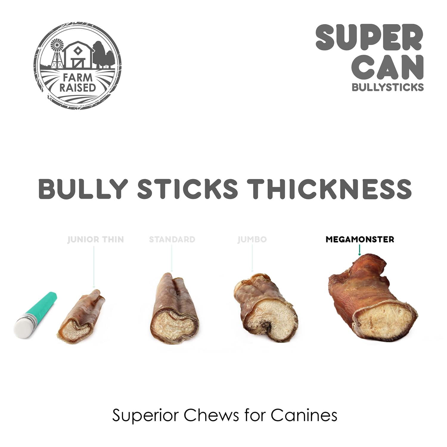 Supercan Bully Sticks for Large Dogs, 6-inch Mega Monster Bully Sticks [5-Pack] Thick Bully Sticks for Ferocious Chewers - Long Lasting Dental Treats - Non-GMOs 100% Natural Beef Sticks for Dogs