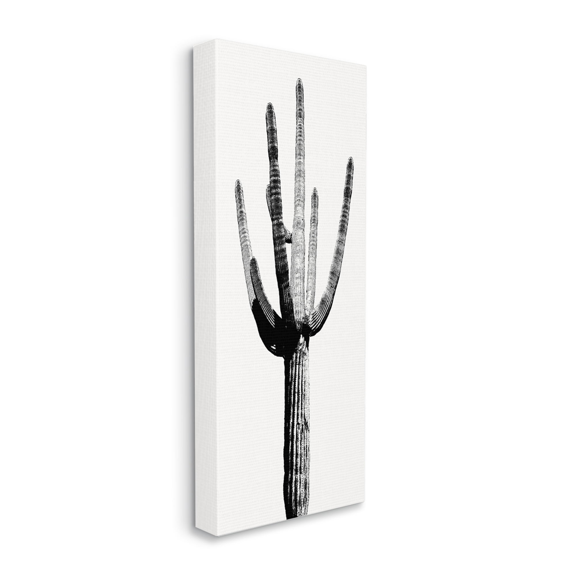 Stupell Industries Modern Grey Cactus Botanical & Floral Painting Gallery Wrapped Canvas Print Wall Art, 17 x 40