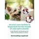 thumbnail image 5 of Gel TropicLean Clean para perros Dog Dental Care, 60 ml, 5 of 7