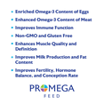 thumbnail image 5 of Promega Feed FlaxExtra Premium Flaxseed Livestock Feed Supplement 25lb, 5 of 9