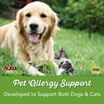 thumbnail image 3 of NOW Foods Pets, Pet Allergy for Dogs/Cats, 75 Chewable Tablets, 3 of 6